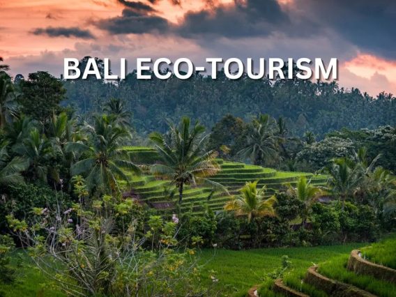 BALI ECO TOURISM
