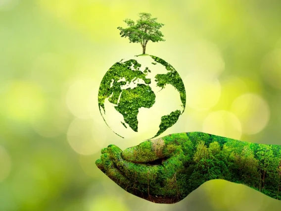 Gaya Hidup Eco Friendly