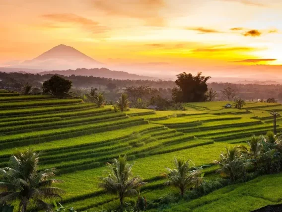 Spot Sunrise Bali