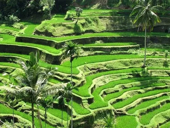 jalur sepeda listrik